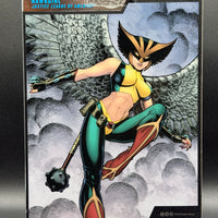 DC Multiverse Hawkgirl (JLA) (McFarlane Collector Edition)
