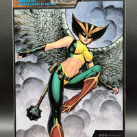DC Multiverse Hawkgirl (JLA) - Platinum Edition (McFarlane Collector Edition)