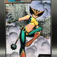 DC Multiverse Hawkgirl (JLA) (McFarlane Collector Edition) - Damaged Box