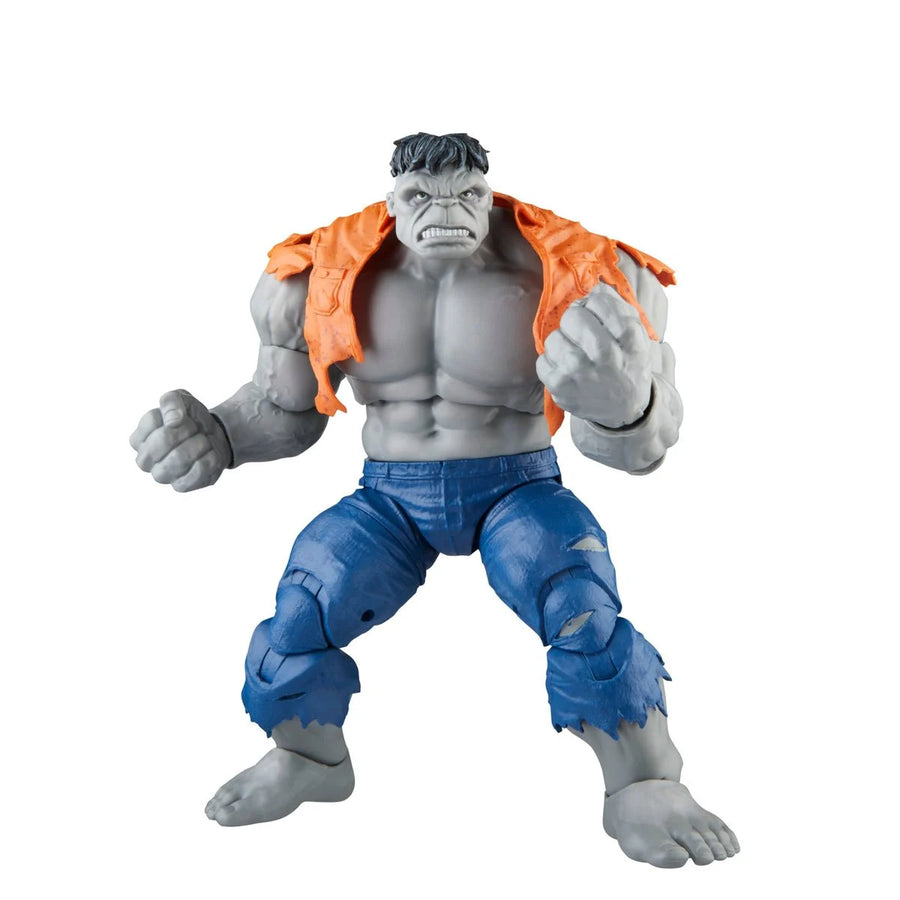 Marvel Legends Gray Hulk and Dr. Bruce Banner (Avengers 60th Anniversary)