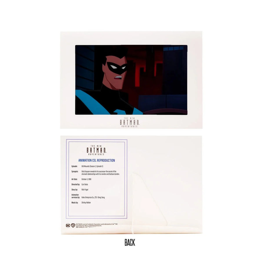 DC The New Batman Adventures Nightwing