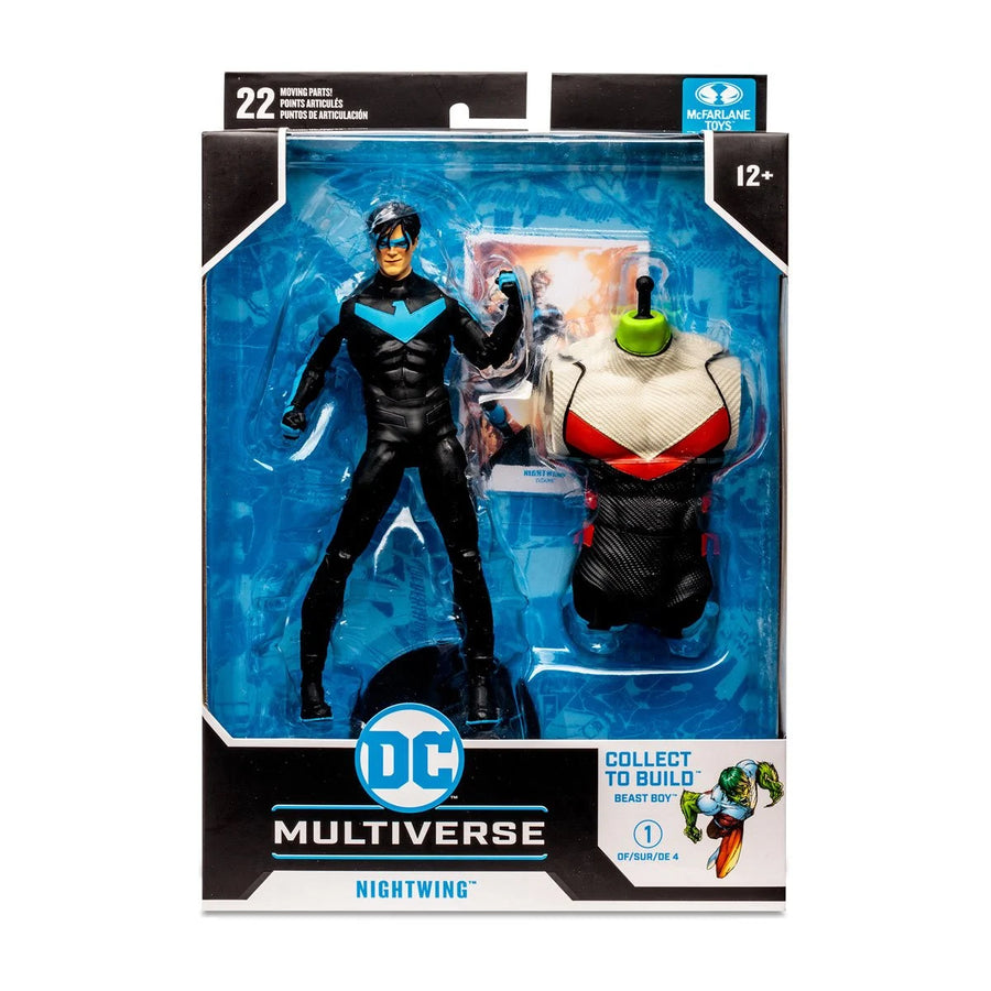 DC Multiverse Titans Nightwing